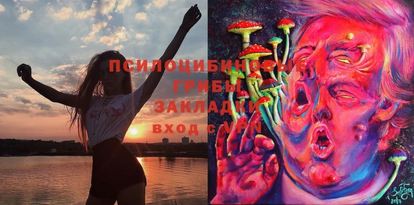 трава Абаза