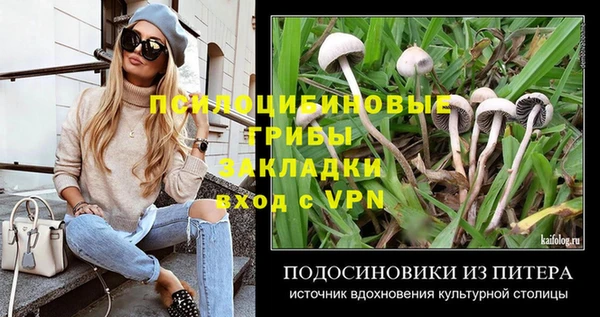 трава Абаза