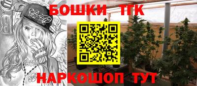 мдпв Татарск