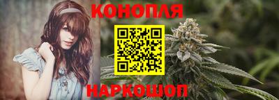 мдпв Татарск