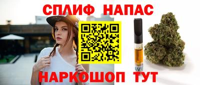 мдпв Татарск