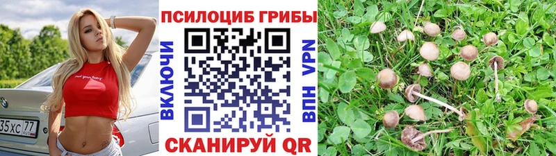 Галлюциногенные грибы MAGIC MUSHROOMS  Скопин 