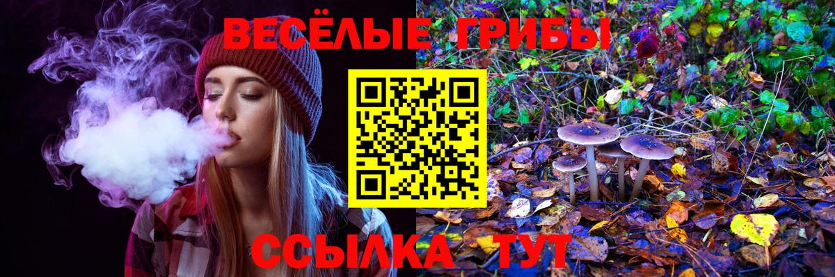 Псилоцибиновые грибы Magic Shrooms  Псилоцибиновые грибы мицелий  Вход с VPN  купить наркотик  Скопин 